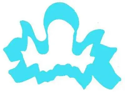 Brand New Octopus Cutter